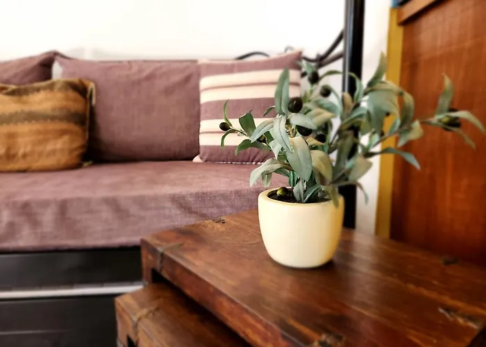 Boutique - Adults Only *