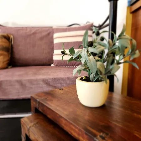 Boutique - Adults Only *