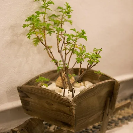 Apartamento Boutique - Adults Only Líndos